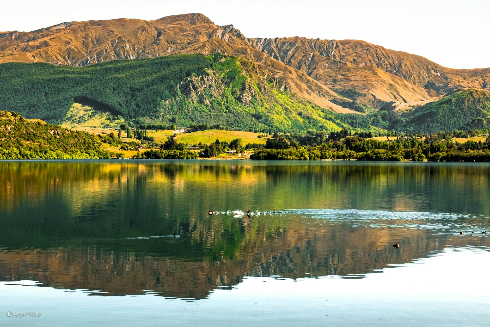 scenic lake and mountain view in new zealand